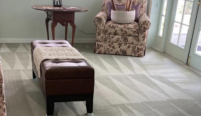 Specialized Care for Fine Area Rugs and Wall-to-Wall Carpets: Dedicated Carpet Cleaning Service in Washington Township, MI